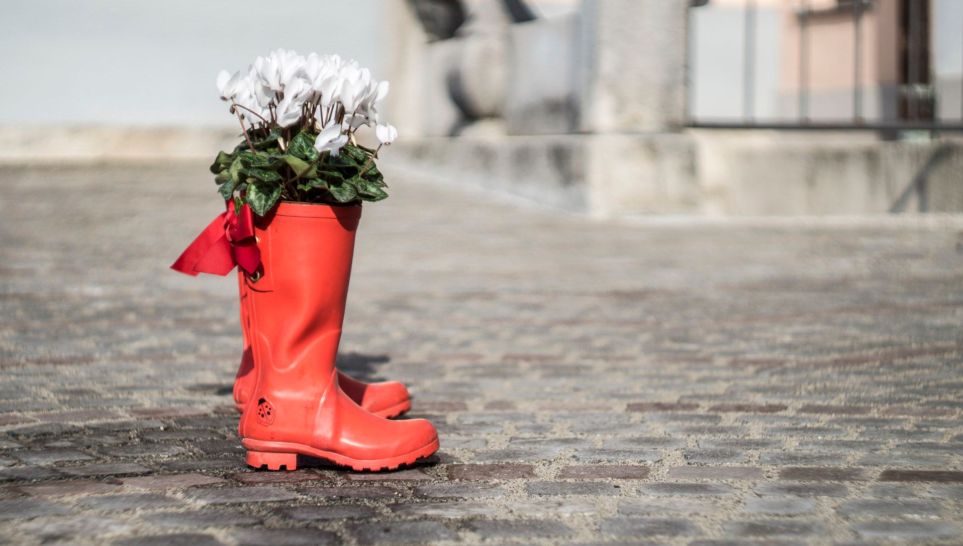 A pair of bright-red rubber rain boots stand in a cobblestone courtyard. The boots hold bunches of white flowers. Why not?