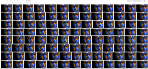 tiled grid of dozens of copies of the map-on-face image, above; Google image search results
